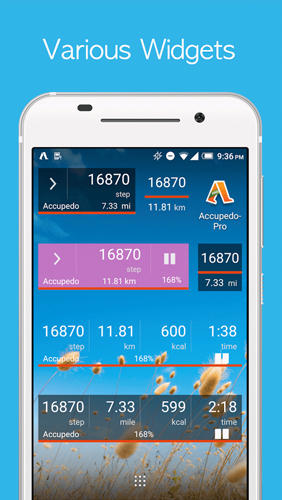 Les captures d'écran du programme Accupedo: Pedometer pour le portable ou la tablette Android.