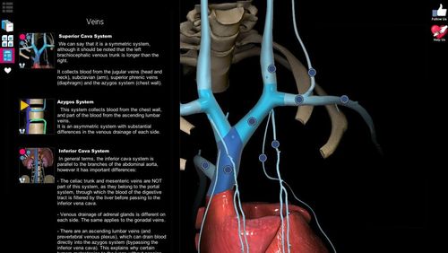 Les captures d'écran du programme Anatomy learning - 3D atlas pour le portable ou la tablette Android.