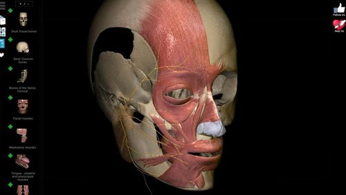 Capturas de tela do programa Anatomy learning - 3D atlas em celular ou tablete Android.