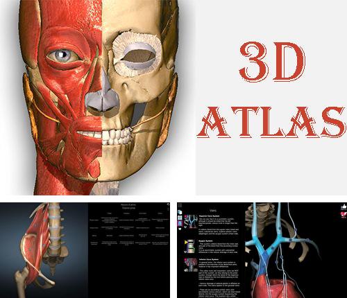 Télécharger gratuitement Etude d'anatomie - 3D atlas  pour Android. Application sur les portables et les tablettes.
