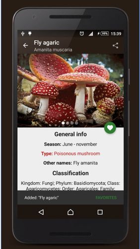 アンドロイドの携帯電話やタブレット用のプログラムBook of mushrooms のスクリーンショット。