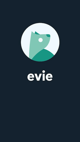Laden Sie kostenlos Evie Launcher für Android Herunter. App für Smartphones und Tablets.