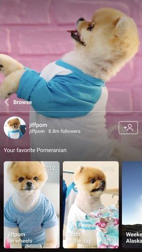 Screenshots of IGTV program for Android phone or tablet.