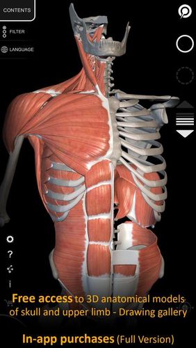 Télécharger gratuitement Muscle | Skeleton - 3D atlas of anatomy pour Android. Programmes sur les portables et les tablettes.