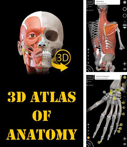 Outre le programme Periscope pour Android vous pouvez gratuitement télécharger Muscle | Skeleton - 3D atlas of anatomy sur le portable ou la tablette Android.