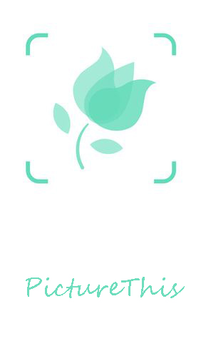 Download PictureThis - Plant identification for Android phones and tablets.