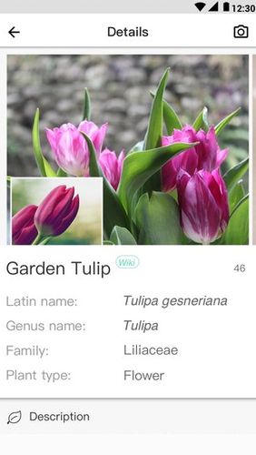 PictureThis - Plant identification app for Android, download programs for phones and tablets for free.
