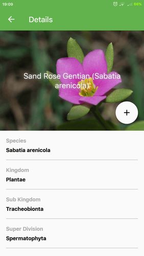 Screenshots des Programms PlantSnap - Identify plants, flowers, trees & more für Android-Smartphones oder Tablets.