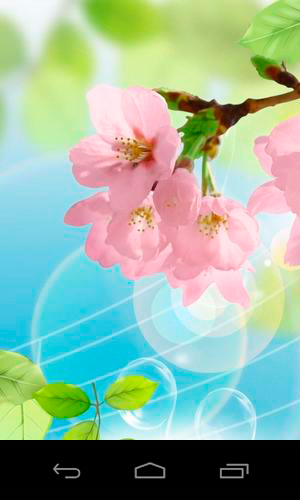 Kostenloses Android-Live Wallpaper 3D Zauberhafte Sakura. Vollversion der Android-apk-App 3D sakura magic für Tablets und Telefone.