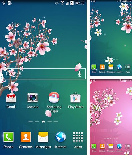 Kostenloses Android-Live Wallpaper Abstrakte Sakura. Vollversion der Android-apk-App Abstract sakura für Tablets und Telefone.