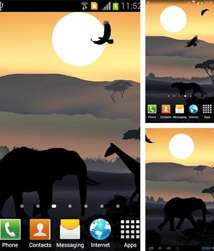 African sunset - бесплатно скачать живые обои на Андроид телефон или планшет.
