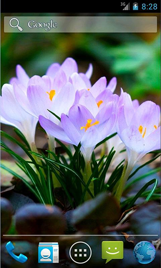 Amazing spring flowers für Android spielen. Live Wallpaper Erstaunliche Frühlingsblumen kostenloser Download.