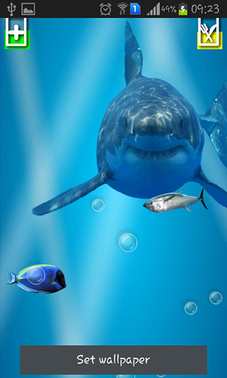 Télécharger le fond d'écran animé gratuit Requin méchant: Ecran craqué . Obtenir la version complète app apk Android Angry shark: Cracked screen pour tablette et téléphone.