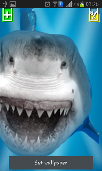 Angry shark: Cracked screen - скачати безкоштовно живі шпалери для Андроїд на робочий стіл.