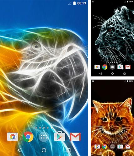 Descarga gratuita fondos de pantalla animados Animales 3D para Android. Consigue la versión completa de la aplicación apk de Animals 3D by MISVI Apps for Your Phone para tabletas y teléfonos Android.