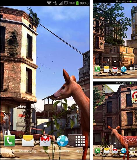 Descarga gratuita fondos de pantalla animados Ciudad apocalíptica para Android. Consigue la versión completa de la aplicación apk de Apocalyptic City para tabletas y teléfonos Android.