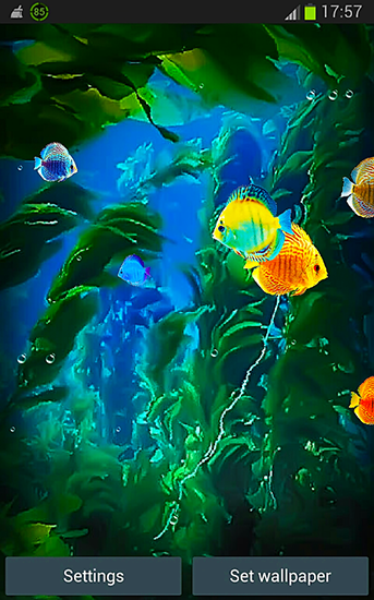 Aquarium 3D by Pups apps - бесплатно скачать живые обои на Андроид телефон или планшет.