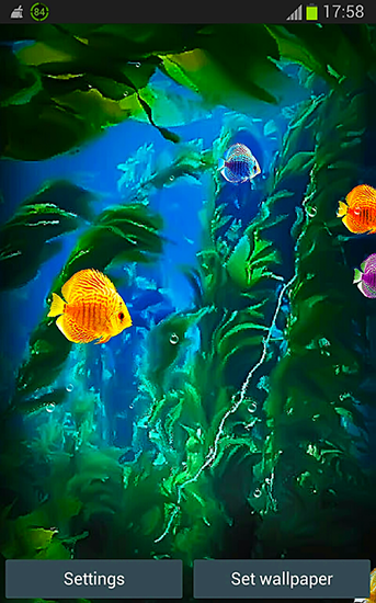 Papeis de parede animados Aquário 3D para Android. Papeis de parede animados Aquarium 3D by Pups apps para download gratuito.