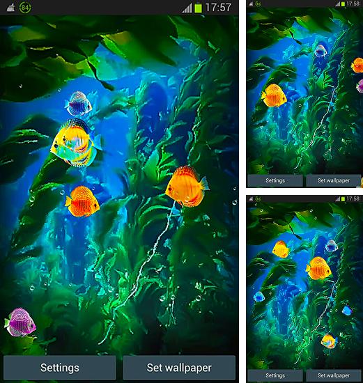 Дополнительно к живым обоям на Андроид телефоны и планшеты Звездный дом, вы можете также бесплатно скачать заставку Aquarium 3D by Pups apps.