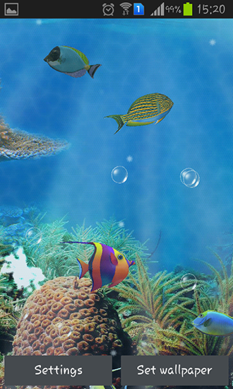 Aquarium and fish