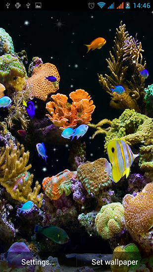 Kostenloses Android-Live Wallpaper Aquarium. Vollversion der Android-apk-App Aquarium by Best Live Wallpapers Free für Tablets und Telefone.