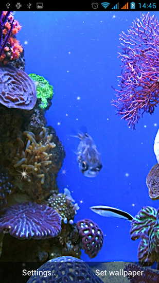 Téléchargement gratuit de Aquarium by Best Live Wallpapers Free pour Android.