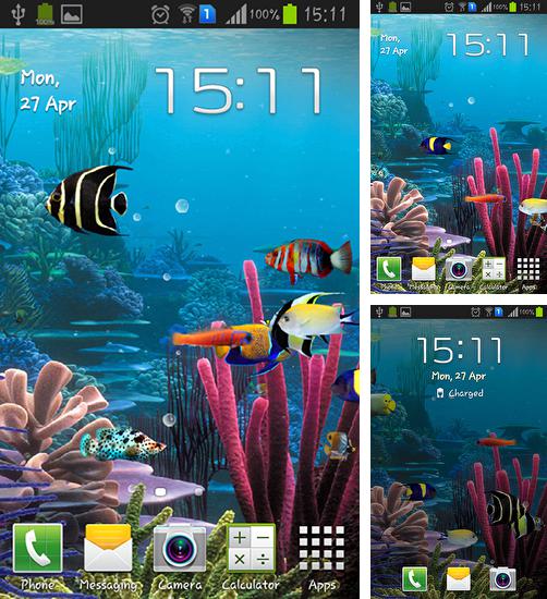 Kostenloses Android-Live Wallpaper Aquarium von Cowboys. Vollversion der Android-apk-App Aquarium by Cowboys für Tablets und Telefone.