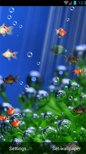 Скриншот Aquarium by minatodev. Скачать живые обои на Андроид планшеты и телефоны.