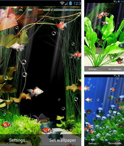 Aquarium by minatodev - бесплатно скачать живые обои на Андроид телефон или планшет.