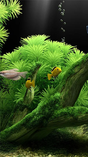 Aquarium by Red Stonz - скріншот живих шпалер для Android.