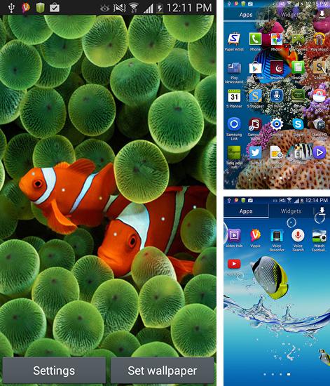 Télécharger le fond d'écran animé gratuit Aquarium  . Obtenir la version complète app apk Android Aquarium by Seafoam pour tablette et téléphone.