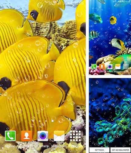 Además de fondo de pantalla animados Pájaro lindo para teléfonos y tabletas Android, también puedes descargarte gratis Aquarium by Top Live Wallpapers.