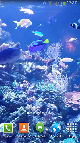 Aquarium HD 2