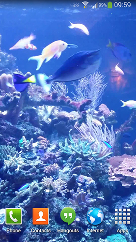 Скриншот Aquarium HD 2. Скачать живые обои на Андроид планшеты и телефоны.