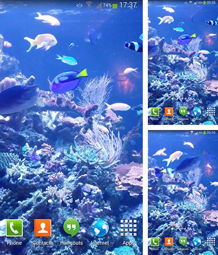 Android 搭載タブレット、携帯電話向けのライブ壁紙 夏: 花と蝶 のほかにも、水族館 HD 2、Aquarium HD 2 も無料でダウンロードしていただくことができます。