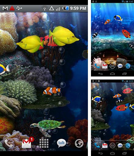 Aquarium - бесплатно скачать живые обои на Андроид телефон или планшет.