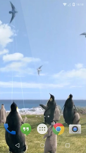 Arctic Penguin - бесплатно скачать живые обои на Андроид телефон или планшет.