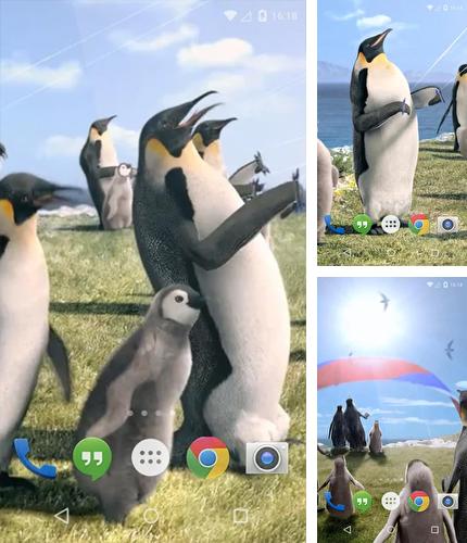 Дополнительно к живым обоям на Андроид телефоны и планшеты Аквариум, вы можете также бесплатно скачать заставку Arctic Penguin.