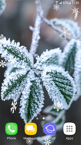 Screenshots do Outono e flores de inverno para tablet e celular Android.