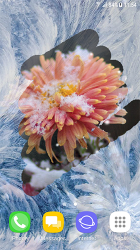 Screenshots von Autumn and winter flowers für Android-Tablet, Smartphone.