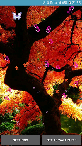 Autumn by 3D Top Live Wallpaper für Android spielen. Live Wallpaper Herbst kostenloser Download.
