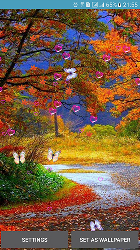 Screenshots of the Autumn by 3D Top Live Wallpaper for Android tablet, phone.
