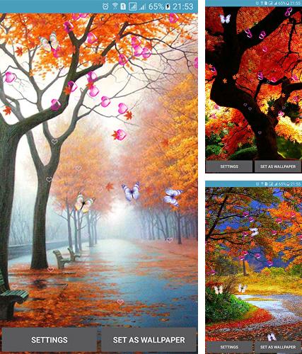 Autumn by 3D Top Live Wallpaper - бесплатно скачать живые обои на Андроид телефон или планшет.