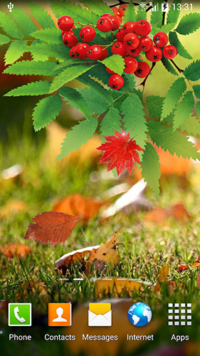 Як виглядають живі шпалери Autumn by Amax LWPS.