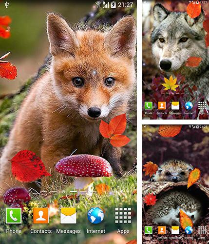 Дополнительно к живым обоям на Андроид телефоны и планшеты Калейдоскоп HD, вы можете также бесплатно скачать заставку Autumn by Amax LWPS.