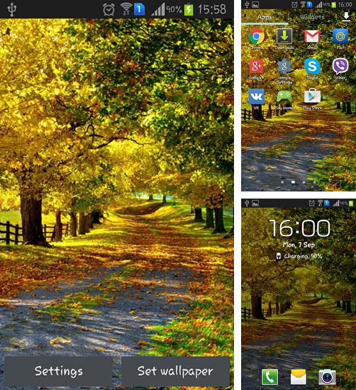 In addition to live wallpaper Purple hearts for Android phones and tablets, you can also download Autumn by Best wallpapers for free.