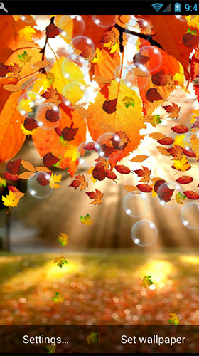 Скриншот Autumn by minatodev. Скачать живые обои на Андроид планшеты и телефоны.