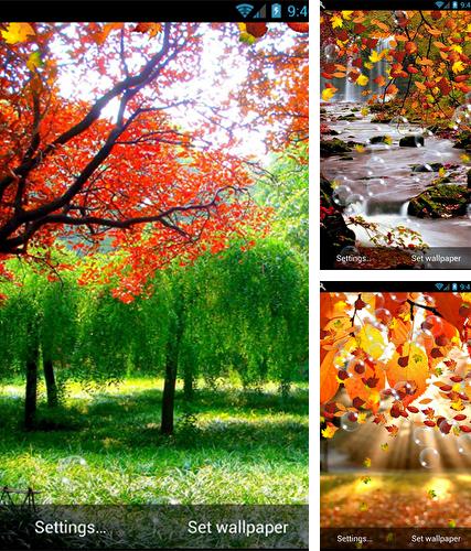 Kostenloses Android-Live Wallpaper Herbst. Vollversion der Android-apk-App Autumn by minatodev für Tablets und Telefone.