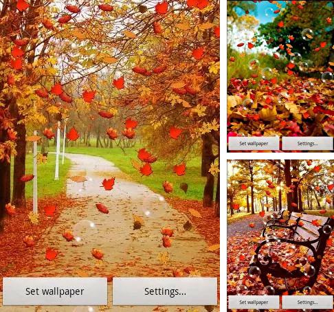 Kostenloses Android-Live Wallpaper Herbst. Vollversion der Android-apk-App Autumn by SubMad Group für Tablets und Telefone.