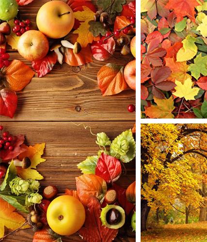 Autumn by Ultimate Live Wallpapers PRO - бесплатно скачать живые обои на Андроид телефон или планшет.